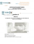 LA FORMACIÓN Y PRÁCTICA DE LA ENFERMERÍA EN LOS AÑOS TREINTA DEL SIGLO XX A LA ACTUALIDAD