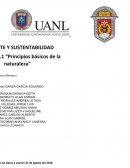 PIRÁMIDE DE BIOMASA