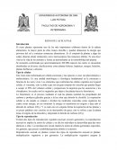 Reino de las Plantas