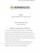 Ensayo:Conductismo de Skinner