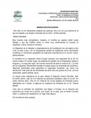 La migración en Europa