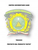 PROYECTO DEL PRODUCTO “GOTIX” DESARROLLO EMPRESARIAL