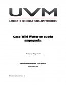 Caso Wild Water se queda empapado