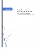 Metabolismo de los Carbohidratos y sus afecciones más comunes