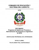 Programa de Gestión por Procesos y Administración de Proyectos en Ingeniería I AF-2019