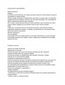 Creacion de una empresa. Resumen Empresarial.