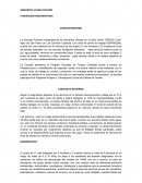 Planeacion argumentada La Escuela Primaria