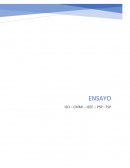 Ensayo calidad de software