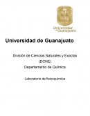 PRÁCTICA 8: FACTORES QUE INCIDEN EN EL DESPLAZAMIENTO DEL EQUILIBRIO QUÍMICO