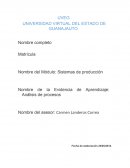 Sistemas de producción. Evidencia de Aprendizaje: Análisis de procesos