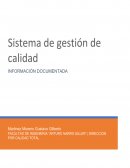 Casos de un sistema de gestion de calidad