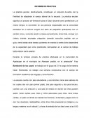 INFORME DE PRACTICA. INFORME DE CONSEJO TECNICO