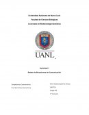 ¿Por qué es importante saber escribir?