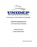 DESARROLLO ORGANIZACIONAL EN LAS EMPRESAS