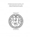 Administracion. Caso McDonald’s