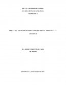 ESPAÑA DEL PAIS DE MIGRACION Y NARCOTRAFICO AL APOYO PARA LA SEGURIDAD