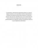Las dimensiones y elementos de las organizaciones publicas