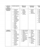 Campo de formación o área de conocimiento