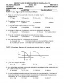 EXAMEN CIENCIAS TELESECUNDARIA s/r