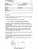 Actividad ¿En qué consiste el comportamiento tensión-deformación?