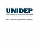 Funciones de la mercadotecnia en la empresa