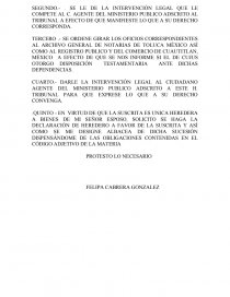 SUCESIÓN INTESTAMENTARIA ESCRITO INICIAL. Página 3