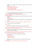 ¿Cuáles fueron los problemas sobre la reflexión de la lengua construidos en la época antigua?