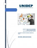 Merca “ EL ZAPATO ROJO, SA DE CV”