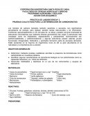 PRUEBAS CUALITATIVAS PARA LA DETERMINACIÓN DE CARBOHIDRATOS