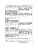 ESTUDIO DE MERCADO MOVILWEB