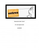 El estrés, Planeación de un taller