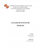 ANALISIS DE PUESTO DE TRABAJO