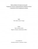 Anteproyecto: propuesta de estructura organizacional para una división de TI