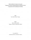 Anteproyecto: propuesta de estructura organizacional para una división de TI