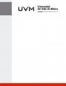 ¿Cuáles son los principios a observar y evaluar para determinar cómo impulsar a un grupo de trabajo, de manera tal se conforme un equipo de trabajo?