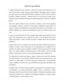 Historia de la pareja Humana