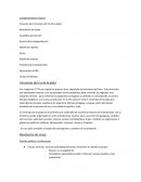 Virreinato del rio de la plata