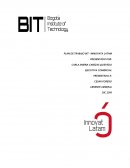 Plan de trabajo y ventas