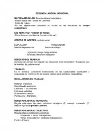RESUMEN LABORAL INDIVIDUAL. Página 1