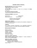 RESUMEN LABORAL INDIVIDUAL