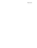 Respuesta al caso planteado en la actividad de aprendizaje