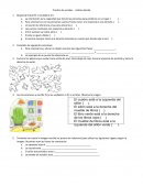 Talleres de primaria puntos cardinales