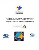 ANÁLISIS DE LA COMERCIALIZACION DEL COMBUSTIBLE PESCA ARTESANAL Y SU METODOLOGIA DE ASIGNACION DE CUPOS