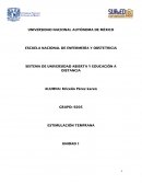 Actividad integradora Generalidades sobre la Estimulación Temprana