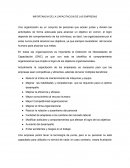 IMPORTANCIA DE LA CAPACITACION DE LAS EMPRESAS