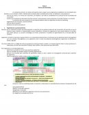 Segmentacion y posicionamiento de un producto