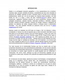 Evaluacion a distancia de recurso natural flora