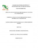 Marketing del restaurant marisquería “Las Carretas”