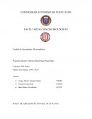 Programa Educativo: Químico Bacteriólogo Parasitólogo