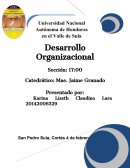 Ejercicios unidad II Desarrollo Organizacional